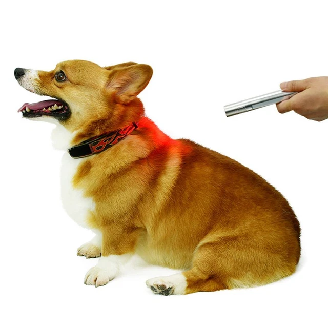 9W para terapia de alivio del dolor dispositivo de terapia de luz infrarroja protable luz roja