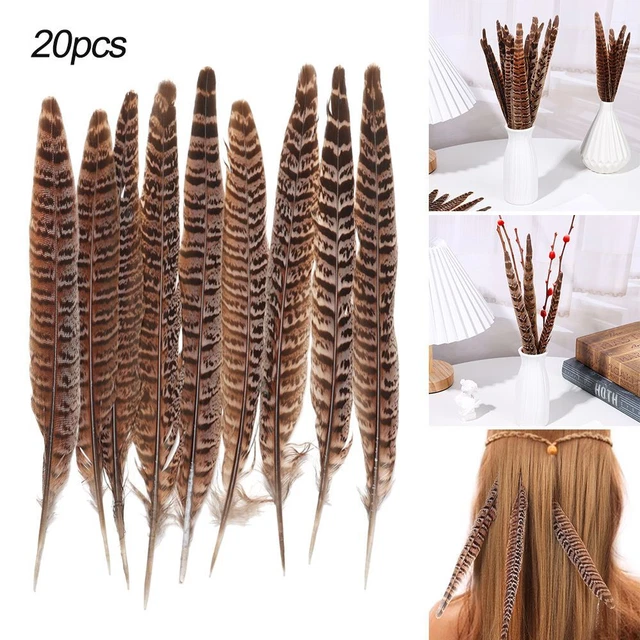 Decoración natural bricolaje hogar plumas de cola artesanía faisán plumaje