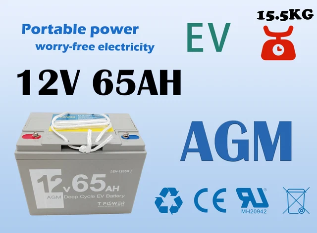 Reliable 12V 65AH EV Sealed Lead-Acid Battery – Long-lasting Power Supply