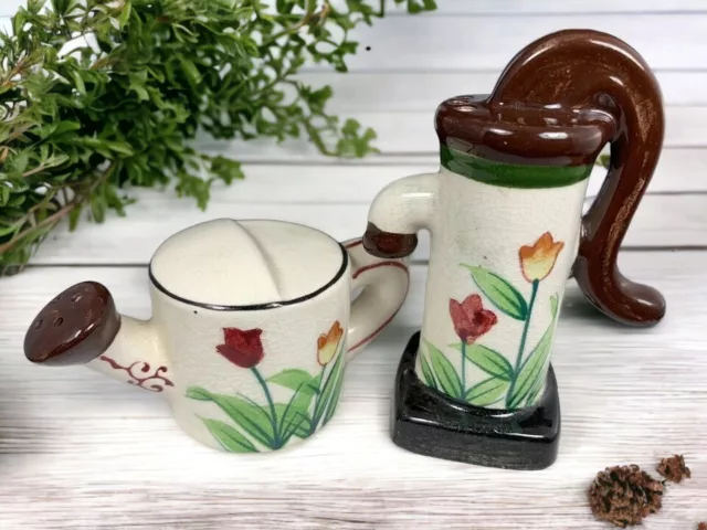 Country Water Pump & Watering Can Salt & Pepper Shakers Japan Floral Vintage