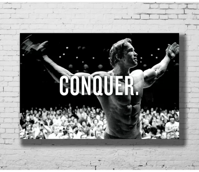 368374 conquer_abs_arnold_schwarzenegger_muscles Art Decor Print Poster AU