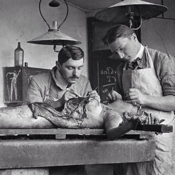 Antique Autopsy Post Mortem Photo 127b Oddleys Strange & Bizarre