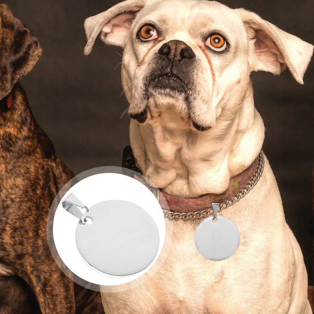 10 pz etichette identità animali acciaio titanio etichette personalizzate per cani per animali domestici collare