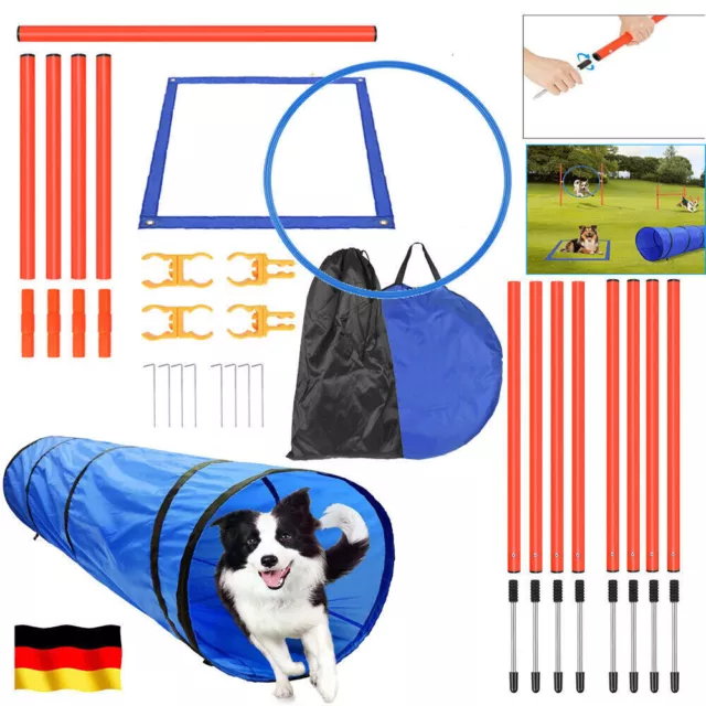 Agility Set Hunde Training Slalomstangen Dog Slalom Anfänger Sport Tunnel DHL