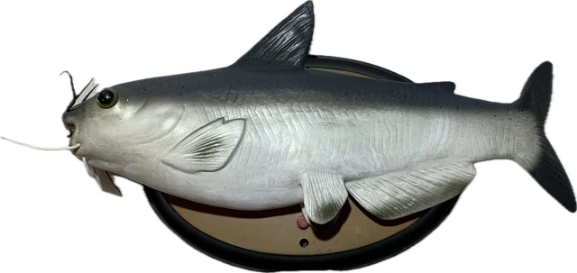 Poisson Chanteur Vintage Gemmy Cool Cat - Pour Pièces Ou Réparation - Ne Fonctionne Pas
