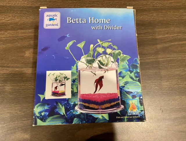 Betta Home with Divider