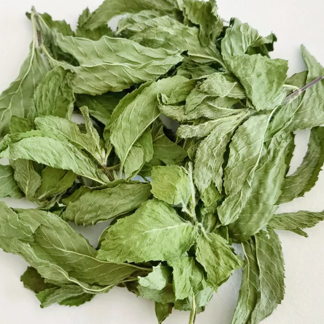Hojas de menta nuevas hojas de menta gránulos de té de flores de té 17,6 onzas 3