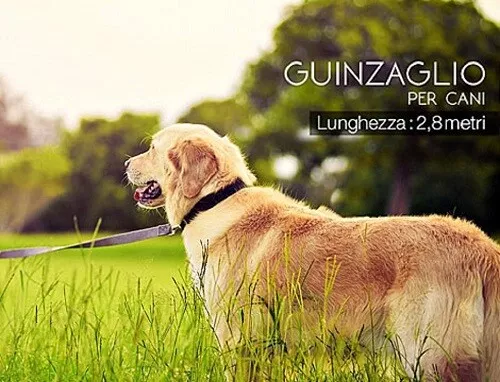 Guinzaglio Per Cani Allungabile Retraibile  Retrattile 3