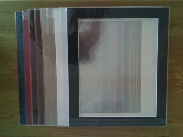 Soportes de fotos biseladas de 12 x 10" en bolsas usadas x 9 variedad de colores