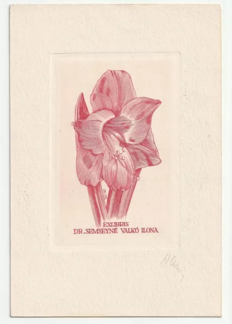 ARPAD DANIEL NAGY: Exlibris für Semsyne Valko Ilona, Amaryllis, 1977