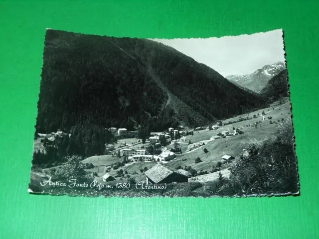 Cartolina Antica Fonte Pejo ( Trento ) - Panorama 1955 ca