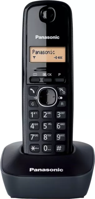 Panasonic KX-TG1611 Teléfono Terminal inalámbrico 50 entradas Reacondicionado