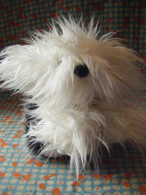 Dulux shop dog teddy