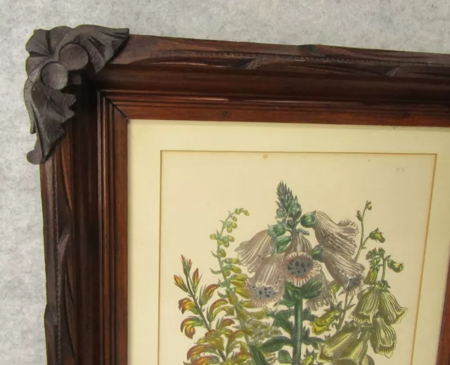 Antique Pair Botanical Floral Iris Print Wood Carved Folk Art Deep Well Frames 3