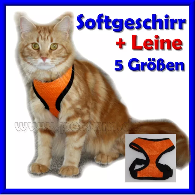 ORANGE Katzengeschirr Welpengeschirr Softgeschirr Meshgeschirr wahlw. mit Leine