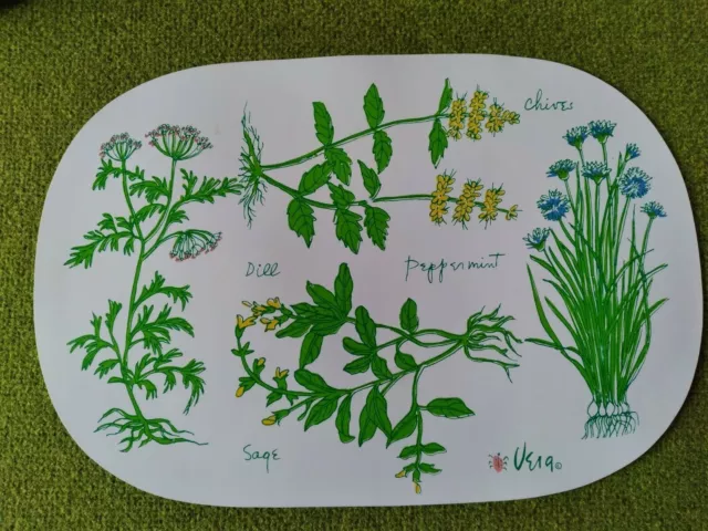 Vintage Vera Ladybug Vinyl Placemat Spices