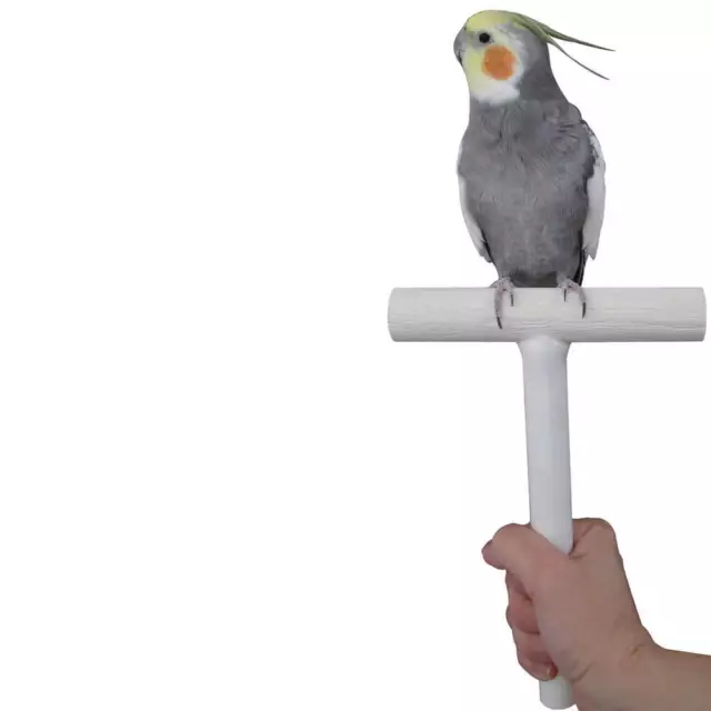 The Bird Trainer T-Perch - Portable - Easy to Use - Suitable for ALL Parrots