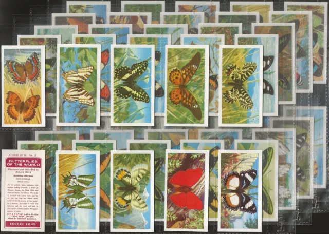 Brooke Bond (Tea)-Full Set- (Rhodesia) Butterflies Of The World 1966 (50 Cards)