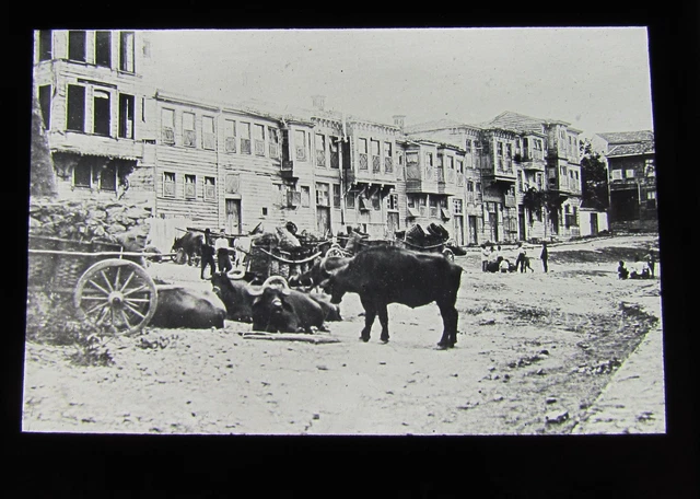 Glass Magic lantern slide WW1 - STREET SCENE IN PARDAMUS - WORLD WAR ONE