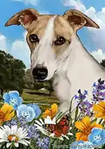 Summer House Flag - Fawn and White Whippet 18441