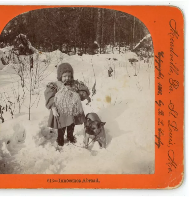 c1890's Stereoview Card Showing Adorable Little Girl Playing in Snow With Dog 2