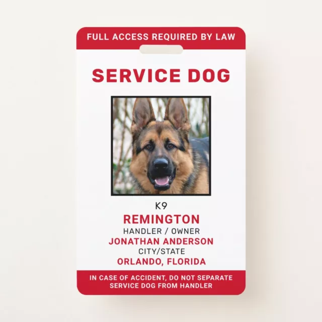 Carte D'identité En Métal Durci De Service Pour Animal De Travail - Badge Ada Alerte Diabétique 2