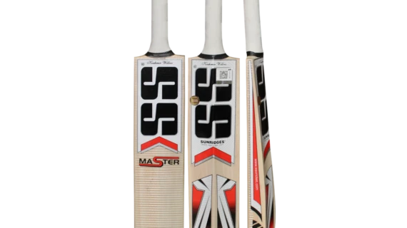 SS Master Kashmir Willow Cricket Bat
