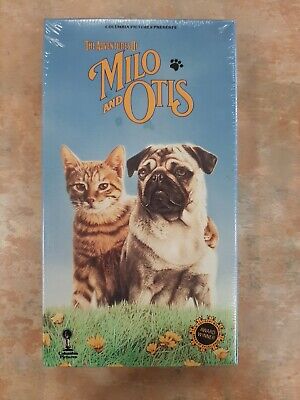 milo and otis