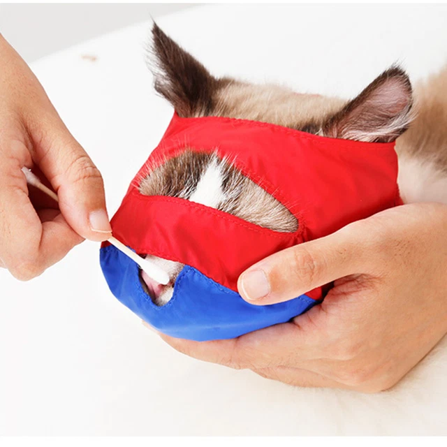 Suministros para mascotas anti mordeduras suministros para mascotas gatos suministros de aseo