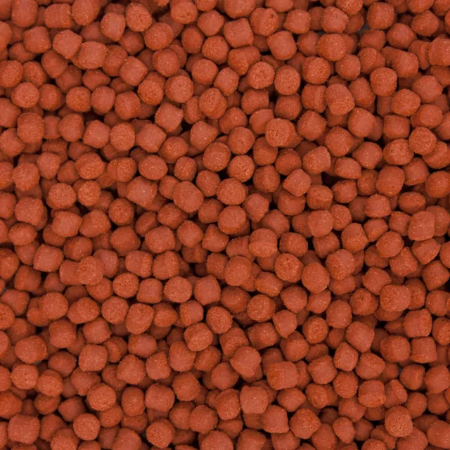 Ocean Nutrition Formula One Pellets MEDIUM 200 grams (7 oz) Premium Fish Food 2