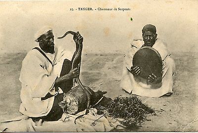 Carte Postale / Postcard / Maroc / Tanger Charmeur De Serpents