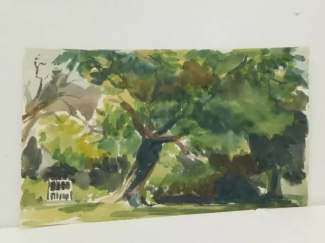 really old PAINTING old major tree