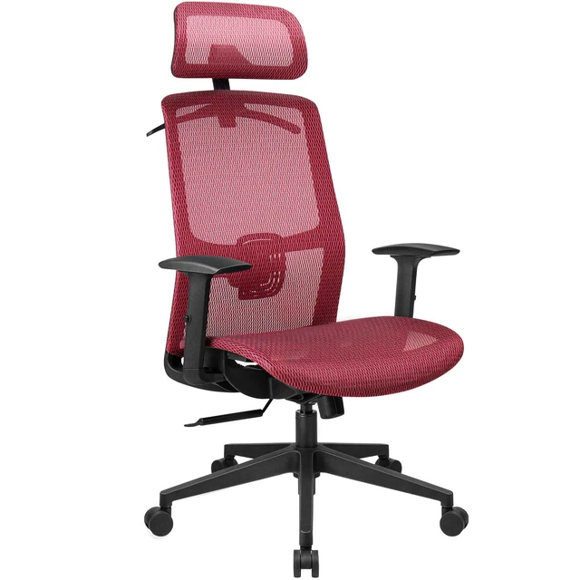 Lacoo High Back Ergonomic Office Chair Mesh Computer Desk Chair with Headrest