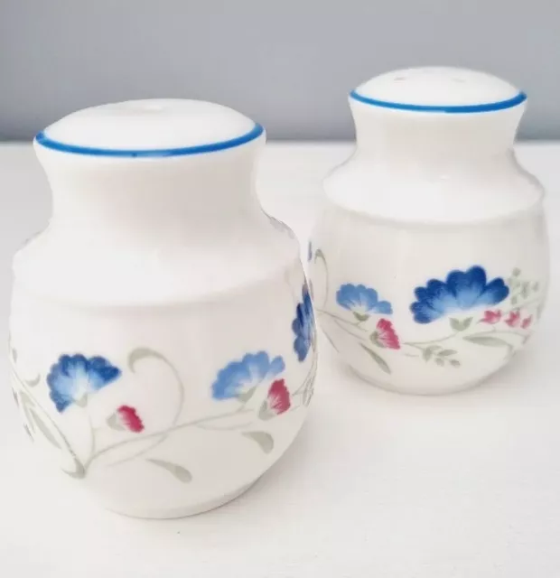 Royal Doulton Expressions Windermere Salz- und Pfeffertöpfe