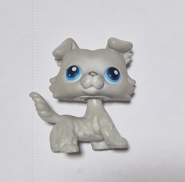 petshop pet shop LPS rare chien chat européen colley teckel dog
