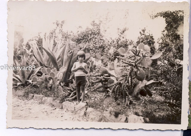 1933 Ile de Port Cros Fillette near agaves - old photo
