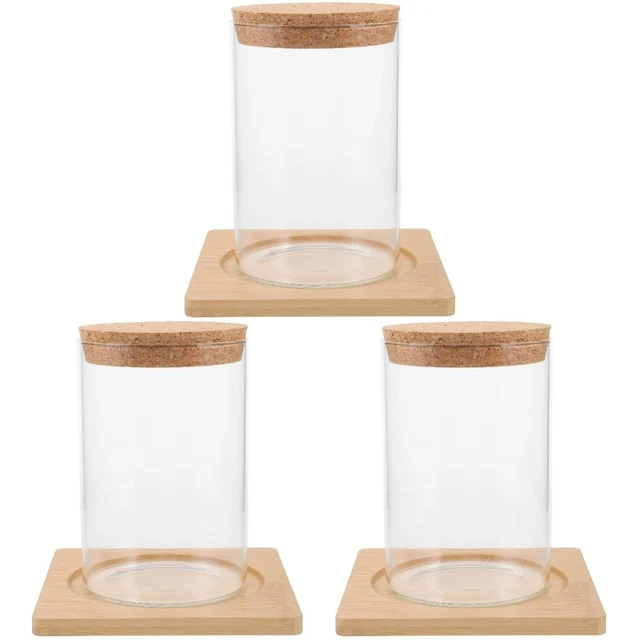 3 frascos de plantas hidropónicas para terrario delicado para el hogar contenedor
