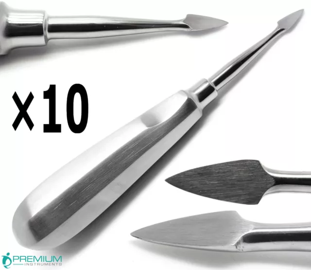 10 pièces ascenseurs de racine de lance dentaire chirurgicaux # 36 instruments d'extraction de racines