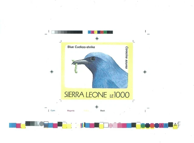 Sierra Leone 1992 Tiere Vögel Blauer Kuckuck Würger Coracina Azurea PP MNH