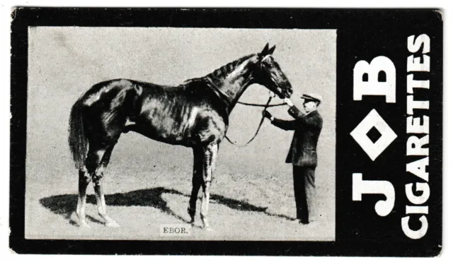 Societe Job - 'Racehorses - 1908/9 Winners' (1909) - Ebor