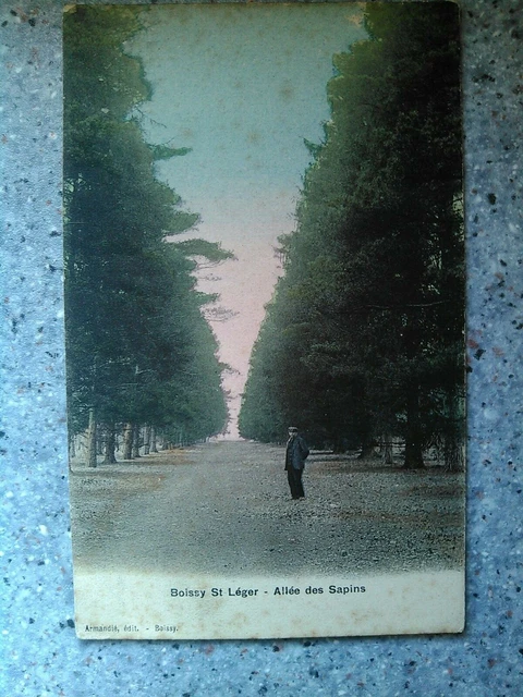 Cpa Boissy Saint Leger Allée Des Fains