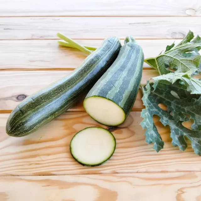 30 Graines de Courgette STRIATO D'ITALIE- mon jardin potager facile