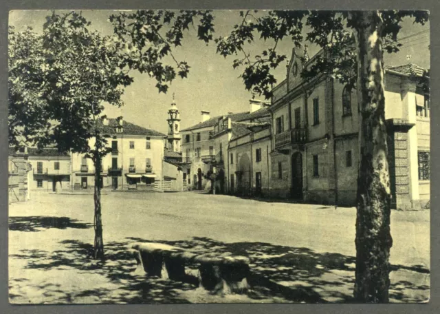 BUSCA (Cuneo) - PIAZZA REGINA MARGHERITA - Ediz. Delfino Maria