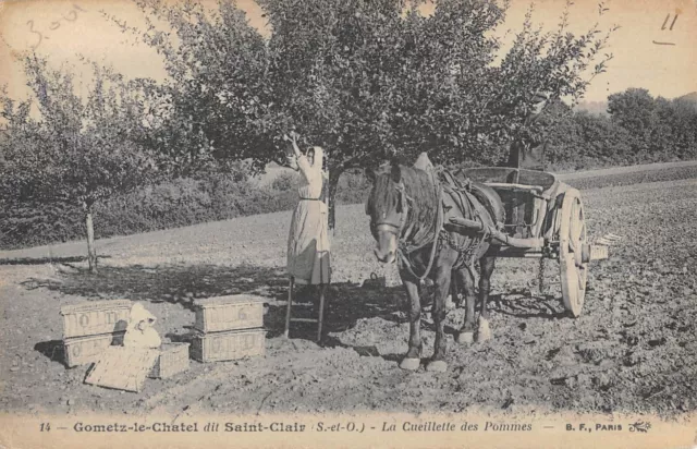 Cpa 91 Gometz Le Chatel / Dit Saint Clair / La Cueilette Des Pommes