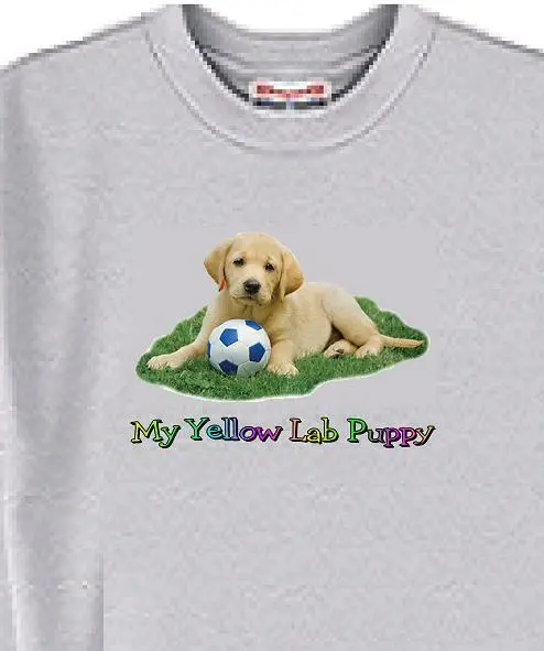 Dog T Shirt Men Women - My Yellow Lab Puppy - Sweatshirt Available