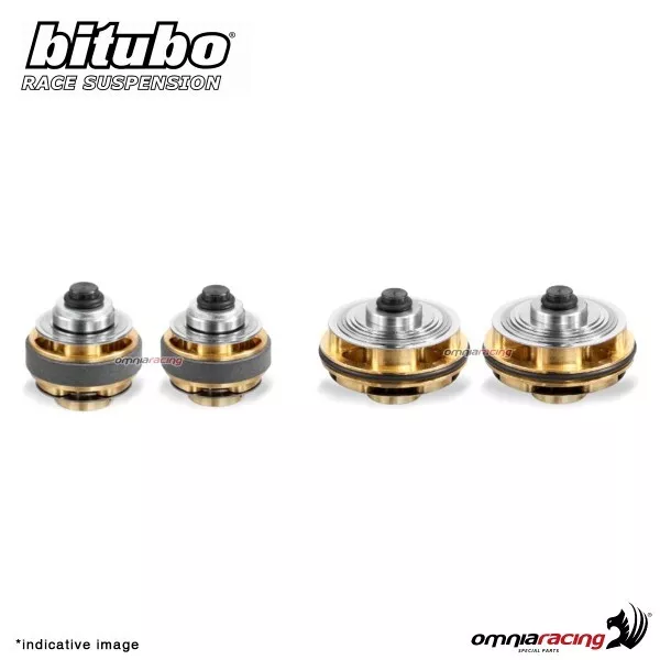 Hydraulic kit rear mono shock absorber Bitubo KXSHOCK Honda CRF450R 2009-2010