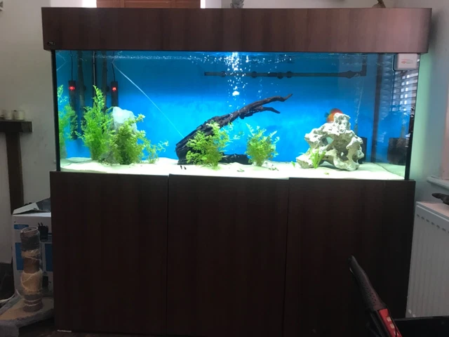 fish tank full set up. n d aquatics 