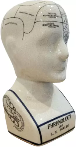 Antique style L.N. fowler Procelian phrenology 29 cm Large ceramic head in a cra