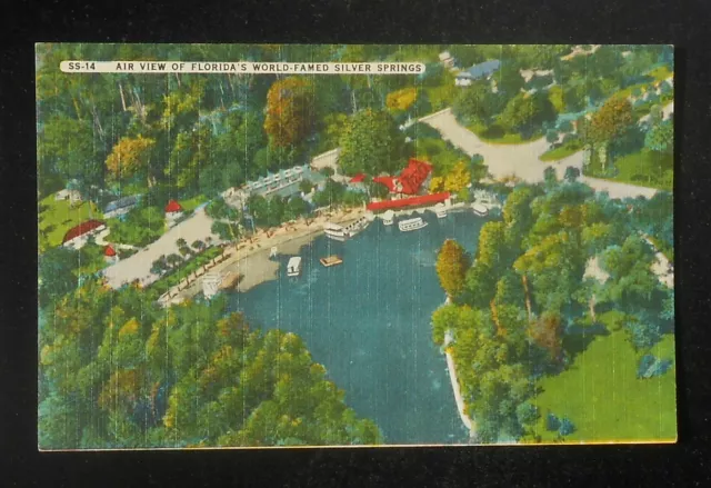 1930s Aerial View of Florida's World-Famed Boats Silver Springs FL Postcard