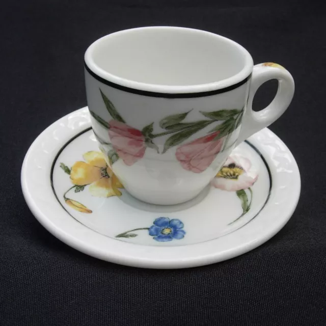 Southern Pacific Prairie Mountain Wildflower Demi Set RRBS